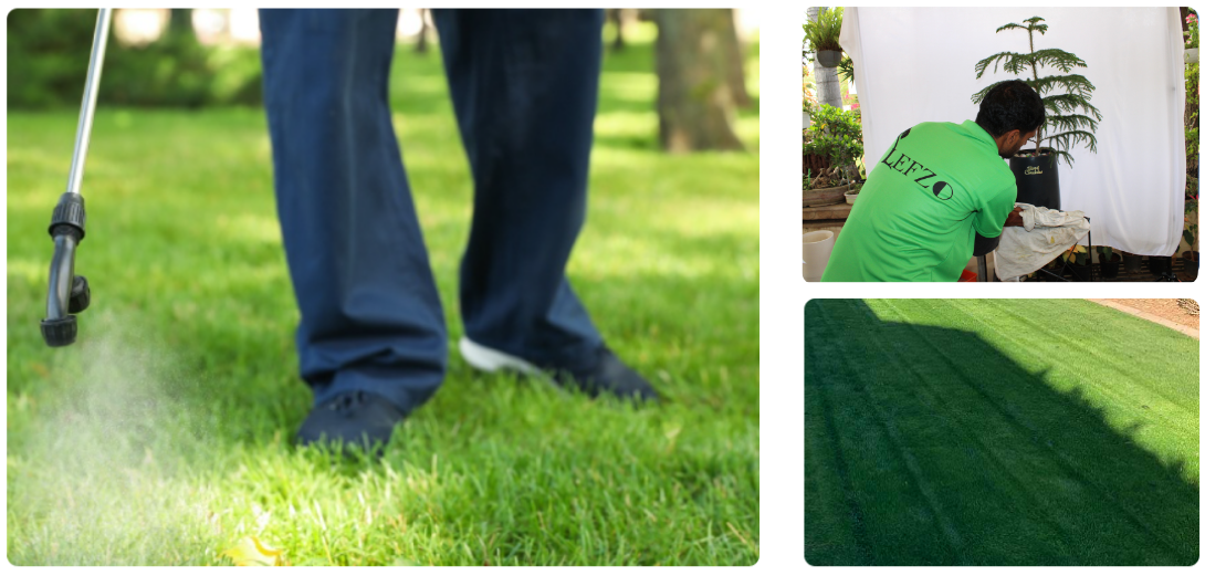 Weed Control Services Weed Control Services