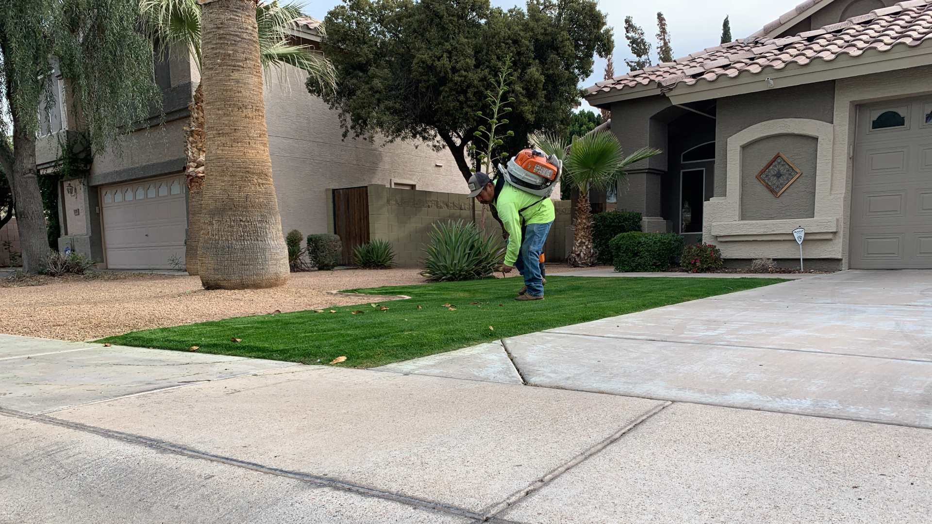 banner-lefzo-professional-leaf-blowing-lawn Fall Cleanup Service in jaipur