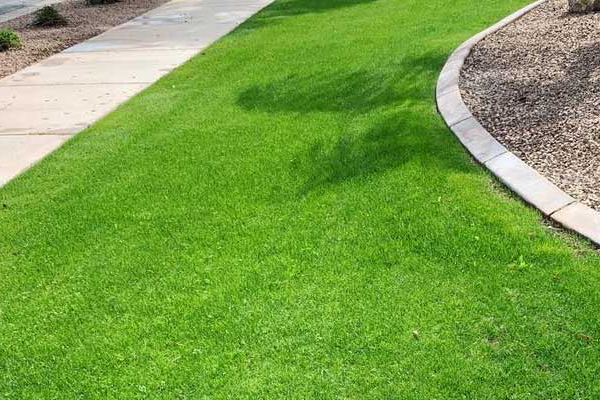 content-beautiful-green-lawn-3-by-2
