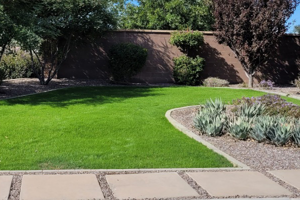 content-vibrant-green-luscious-lawn-3-by-2
