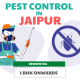Pest Control Services in Jaipur