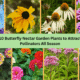 10 Best Flowering Plants for Your Pollinator Garden