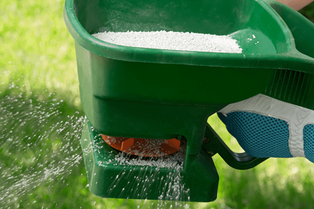 Lawn Fertilization Services
