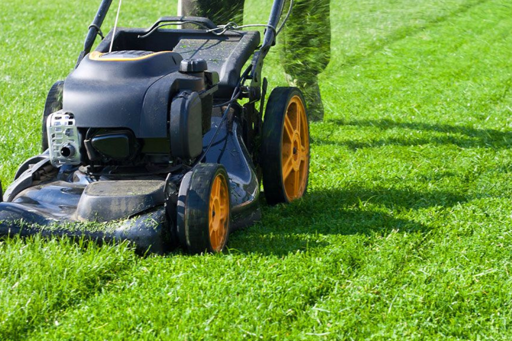 Lawn Mowing Services