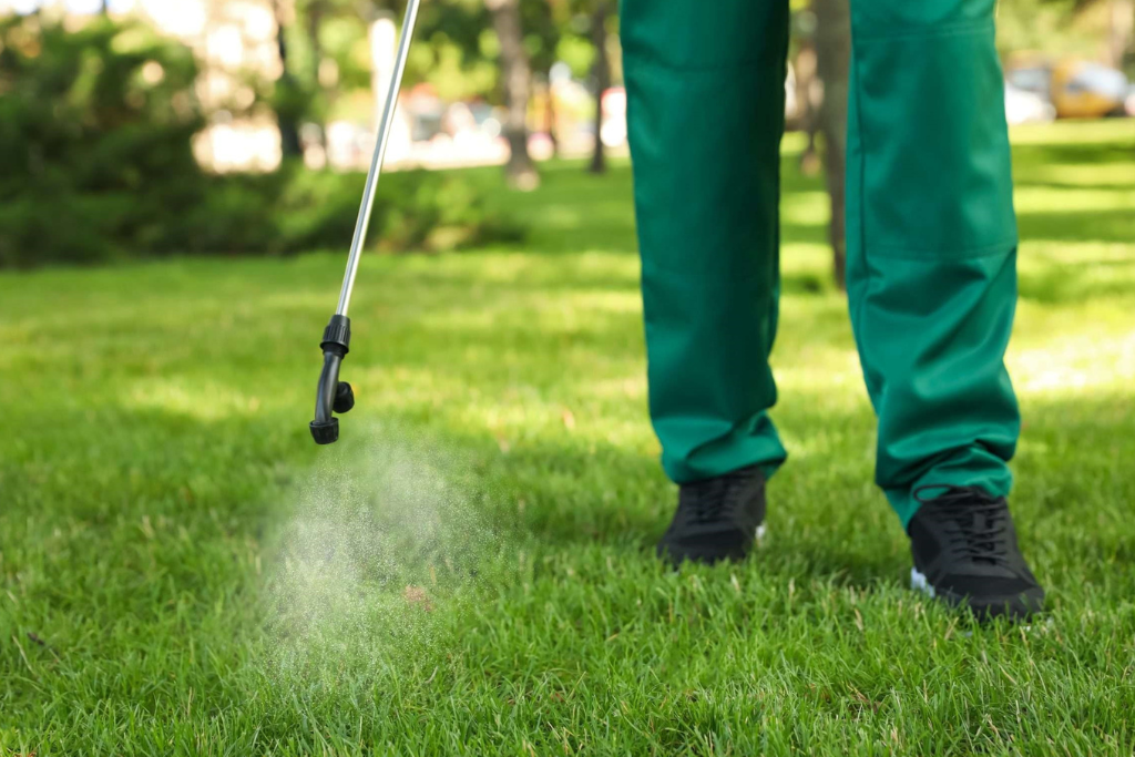 Perimeter Pest Control Services