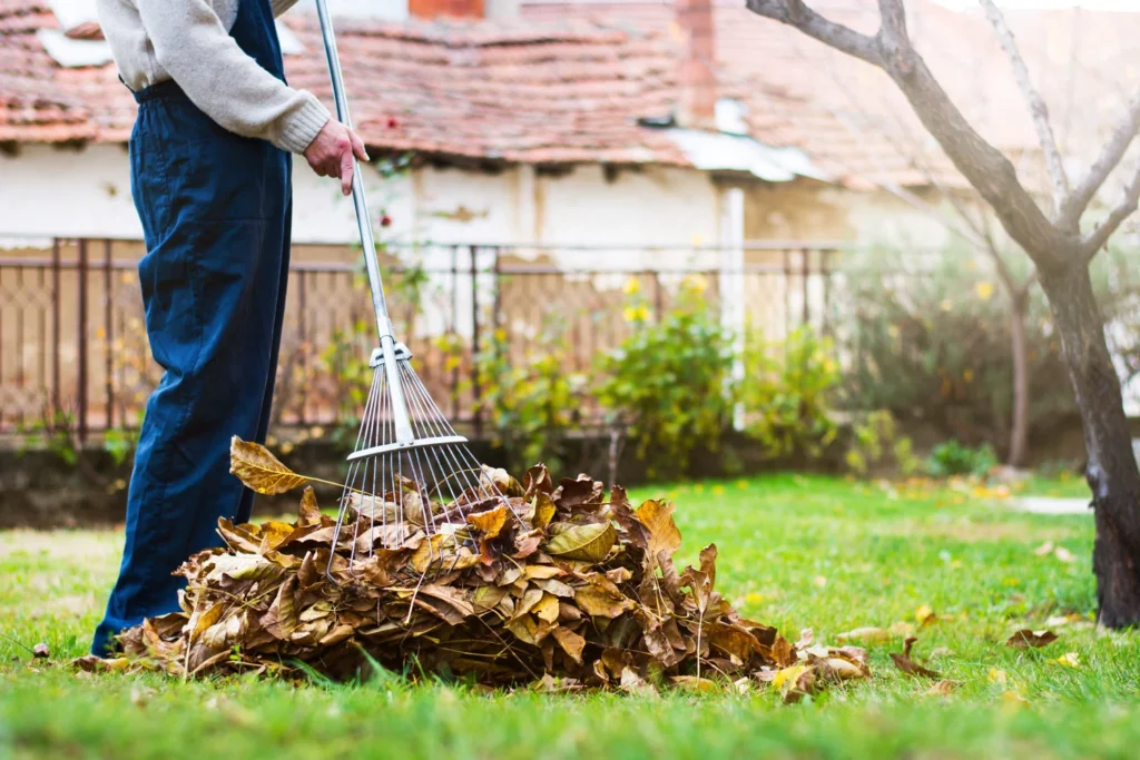  Landscape Maintenance Services